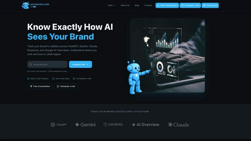 AIOverview application interface and features