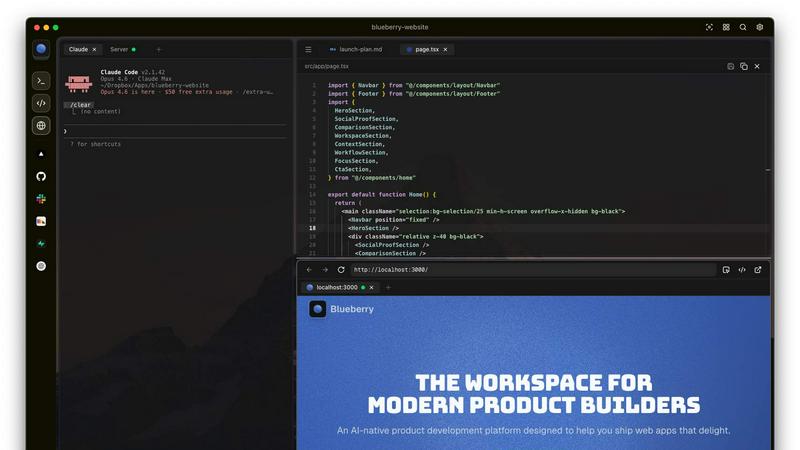 Blueberry - product for productivity