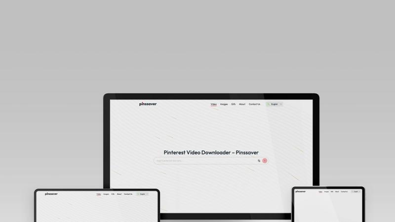 Pinssaver application interface and features