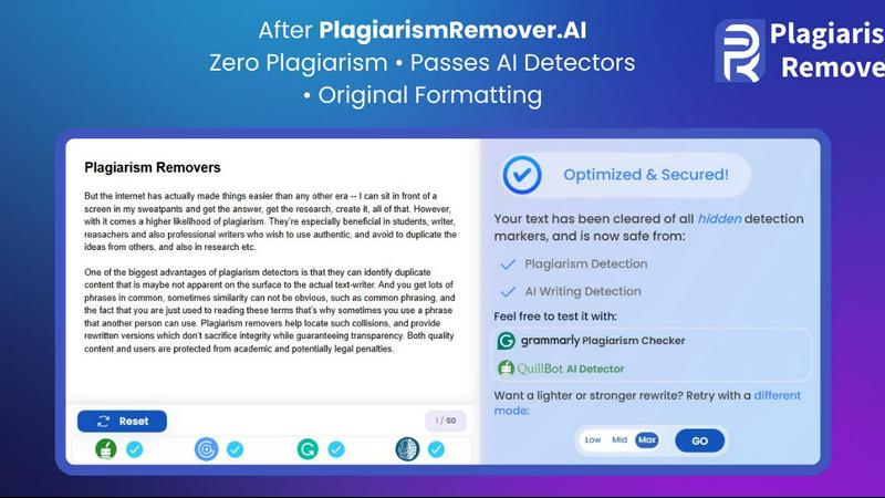 PlagiarismRemover.AI application interface and features