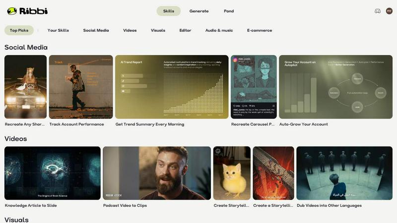 Ribbi application interface and features