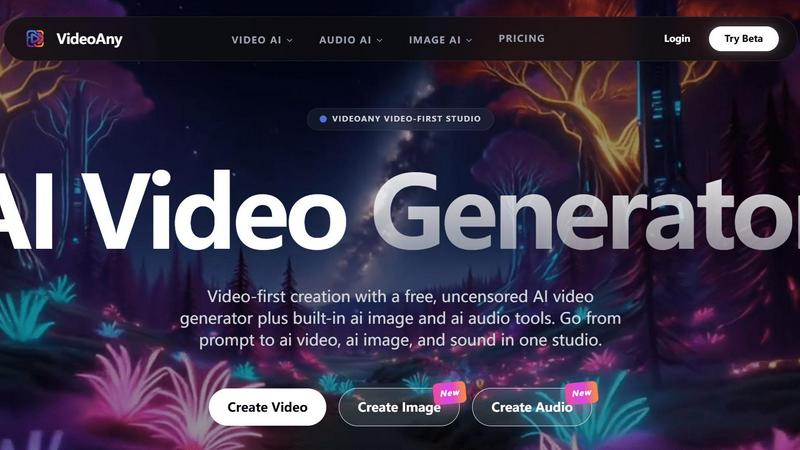 VideoAny - product for productivity